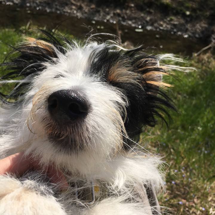 0d8b4c71 51ac 4510 bf6f 655b8dec330a