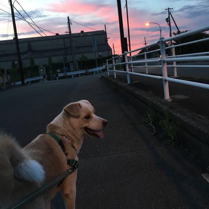 0d8b5f19 4e14 438f 94cf 34c88bff2163