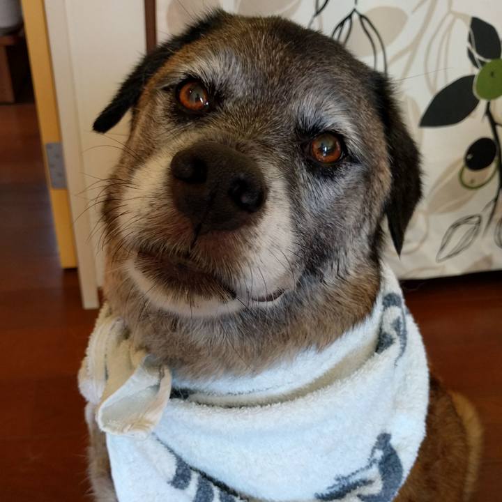 0d8bc815 0e34 4569 9441 4d0bcc42a4e9