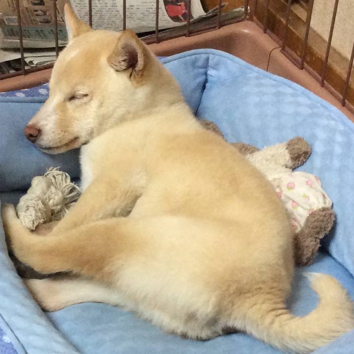 0d8c0042 6014 4edf ba7f 002a0d350444