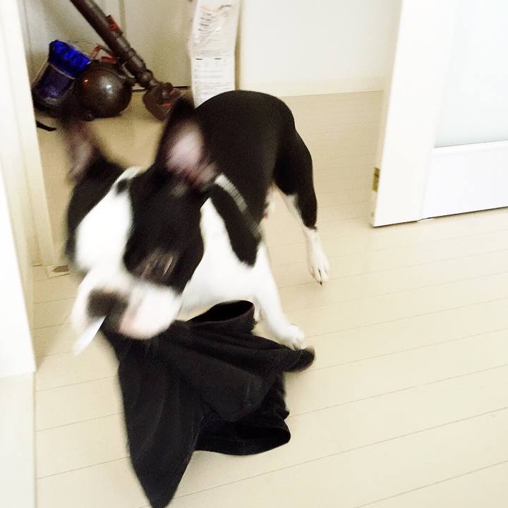 0d8c7edb 122e 472c 8af7 12b19f9cf20b