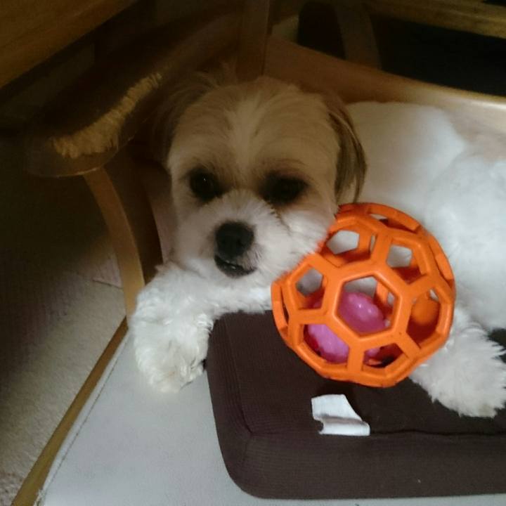 0d8cb47a 1cc2 4c7b 823d 09f59b1d96c0