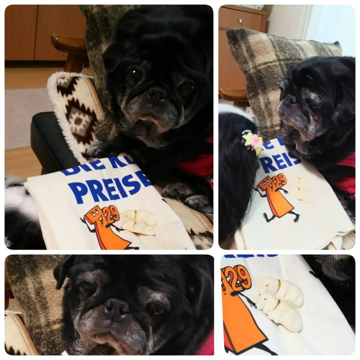 0d8cd657 1fc7 4426 8d21 eb9fdd7d87af