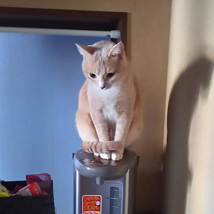 0d8cfe48 14fd 4a6e ab37 a4dee5fa30b7