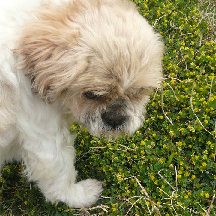 0d8d2073 6f68 462a 9fbe 1b9d10e6b861