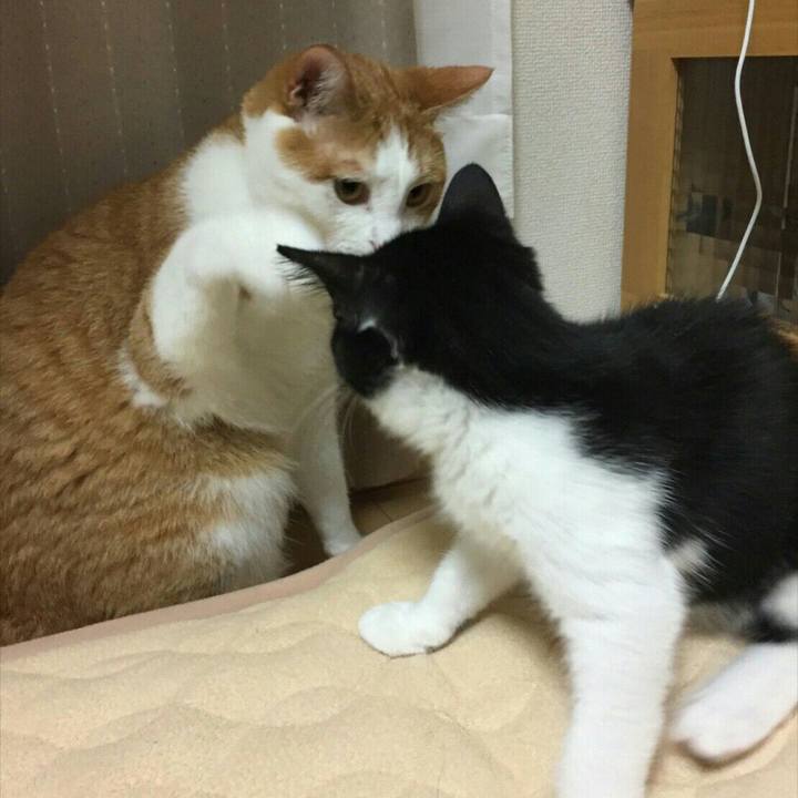 0d8d97b6 d5fa 48c8 91d6 23019e1be53d