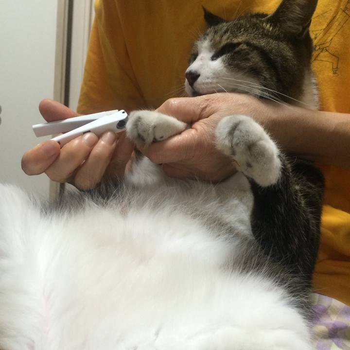 0d8e5e9b 68a5 4fc7 a6c8 30e7de53dcf0