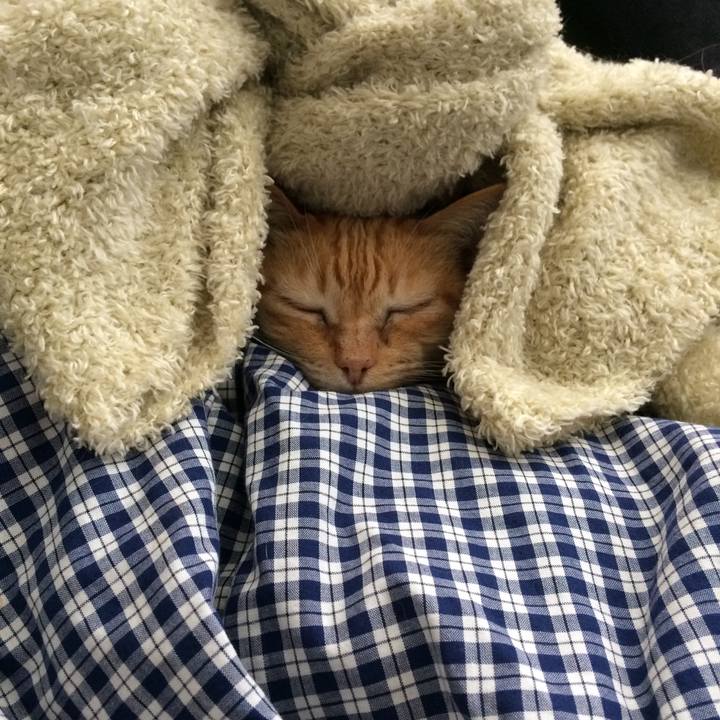 0d8e6a91 0337 435e 8e04 c77000f6bb97