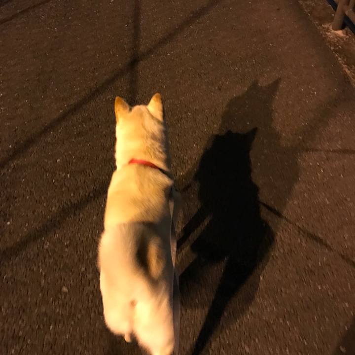 0d8e8766 7f4d 45ce 9626 a6cc108a58c9