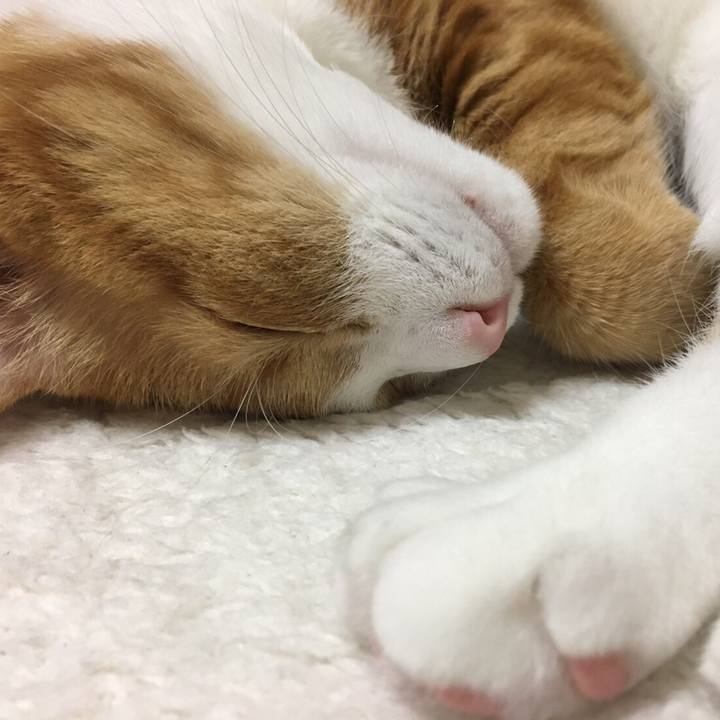 0d8f256e 4325 466a 8ab7 ba3baae3dc67