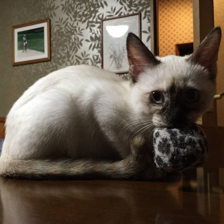 0d8f2aee f391 4b92 b9ba 0292864c5da6