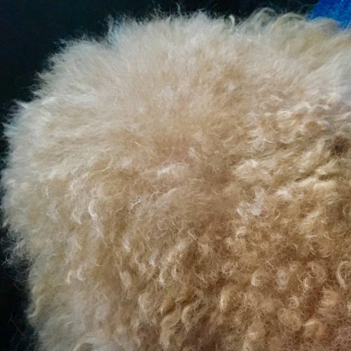 0d8f9932 e451 4a02 9685 61e12f4f899a