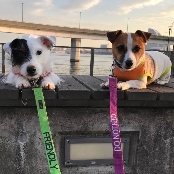 0d9018d8 7679 4bb5 931a da101a742ec0