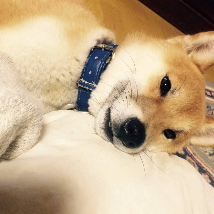 0d903944 98f3 4f68 a478 26cd2ee35370