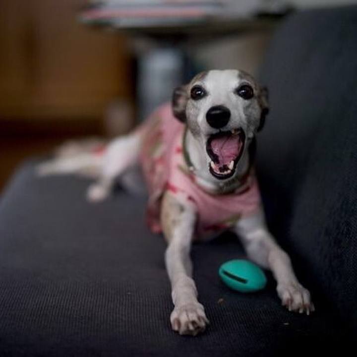 0d906420 1b98 486d a517 10dc193cc844