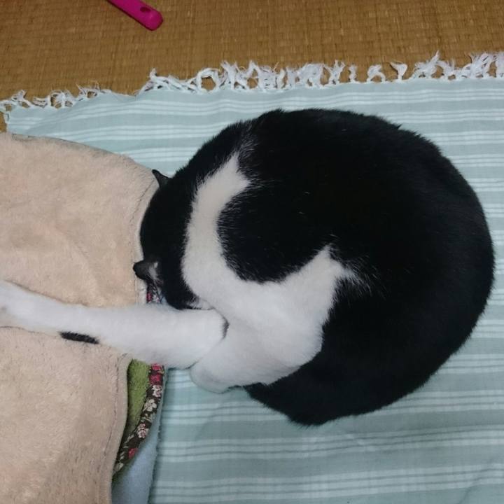 0d90dfcc a6a1 4fba 9135 73da19a93e22