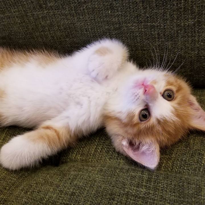 0d91baf9 f2d6 4a92 9c63 a1231715b7e5