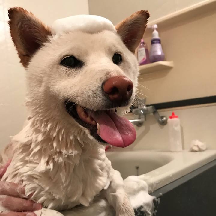 0d938bc2 e086 42e3 8c8b 9f0cd453d17f