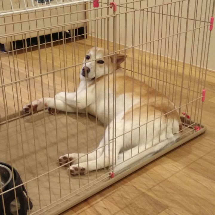 0d93beb6 03d6 48b0 8dbb 3340c5872935