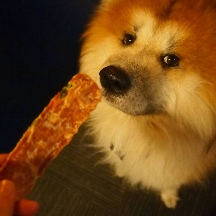 0d93bf13 40b8 446f b862 52ea6c63042b