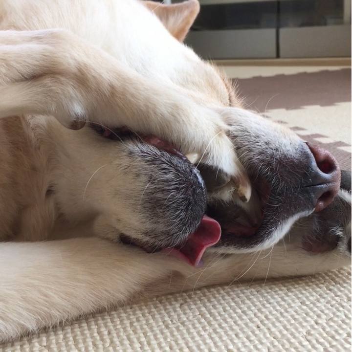 0d942f5e 5322 442c 9cdd e923b4db55bf