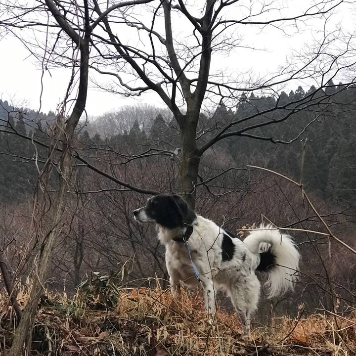 0d943be3 82c6 46de 9e75 5059bd4096ce