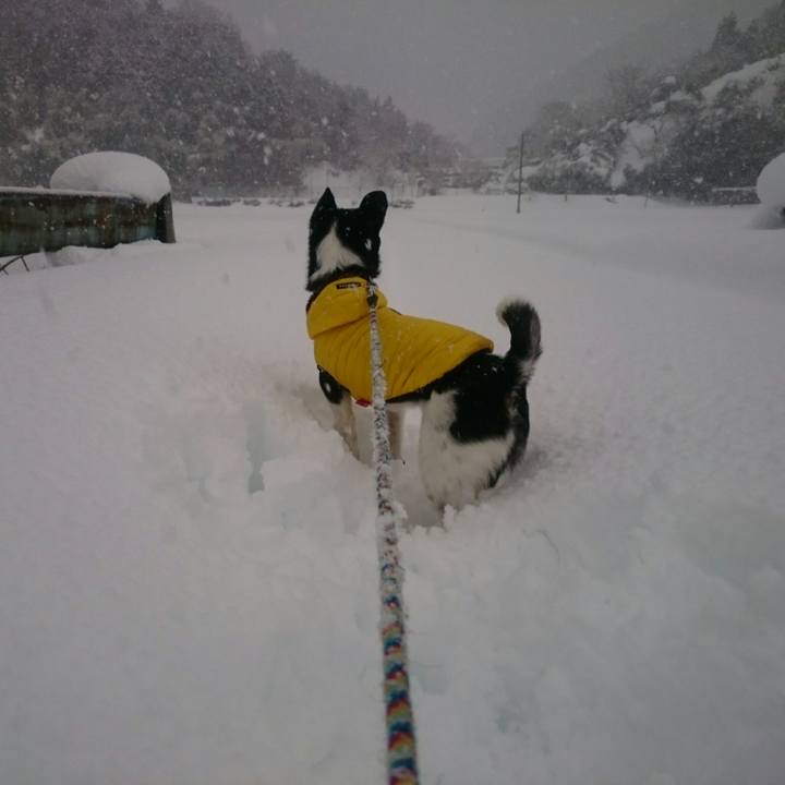 0d945058 1e34 44ed 85d7 f8a7a9362f5b