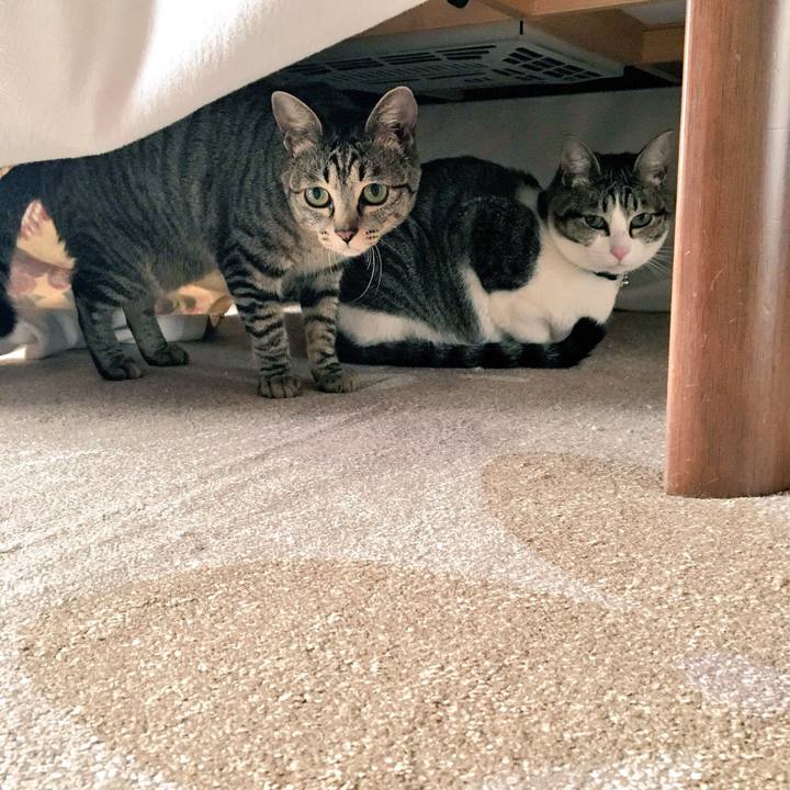 0d9480a3 30da 44ec a162 13a519f31771