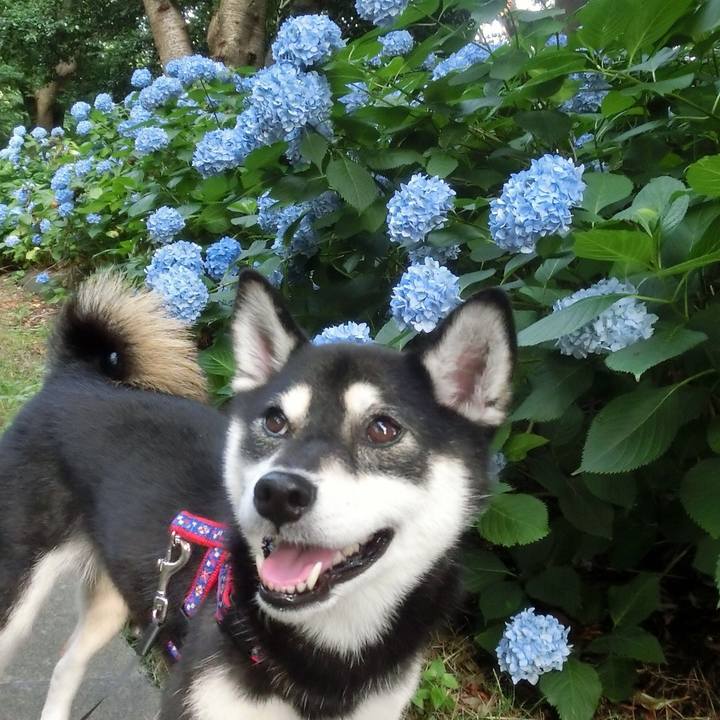 0d94a779 bb76 4876 a93a 93bc03cc706d