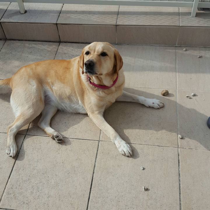 0d94aa05 85a0 4ec1 b102 d08264bc1139