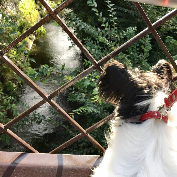 0d94aa90 3d3e 4ce0 8712 d5d15d25e205