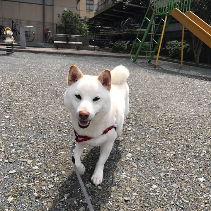 0d94c527 ca49 4619 bed2 1fdef9279b99