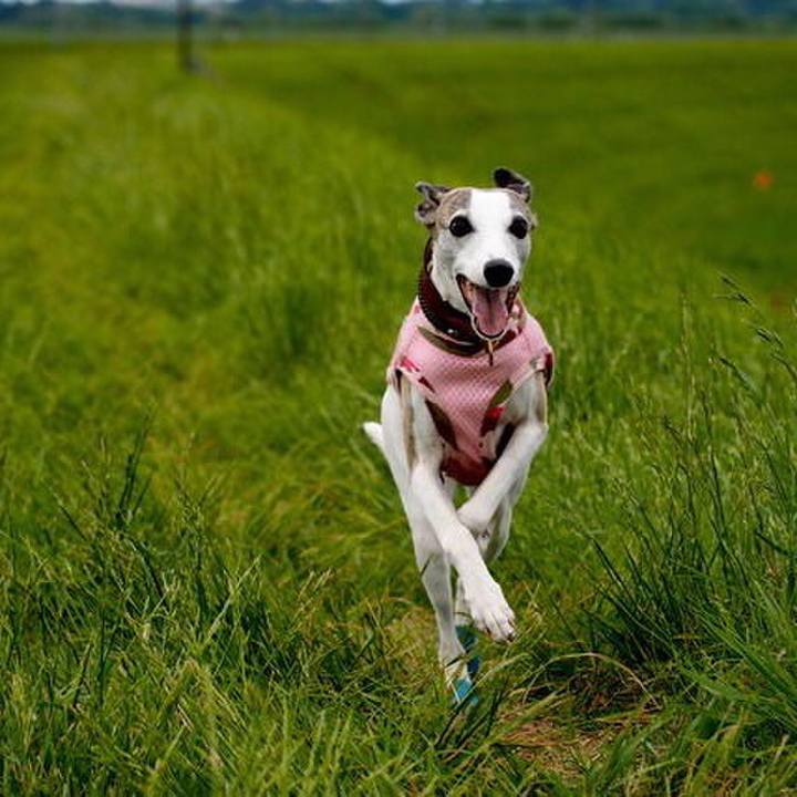 0d94d8f3 dc15 4546 8af1 d1b654ce8ebf