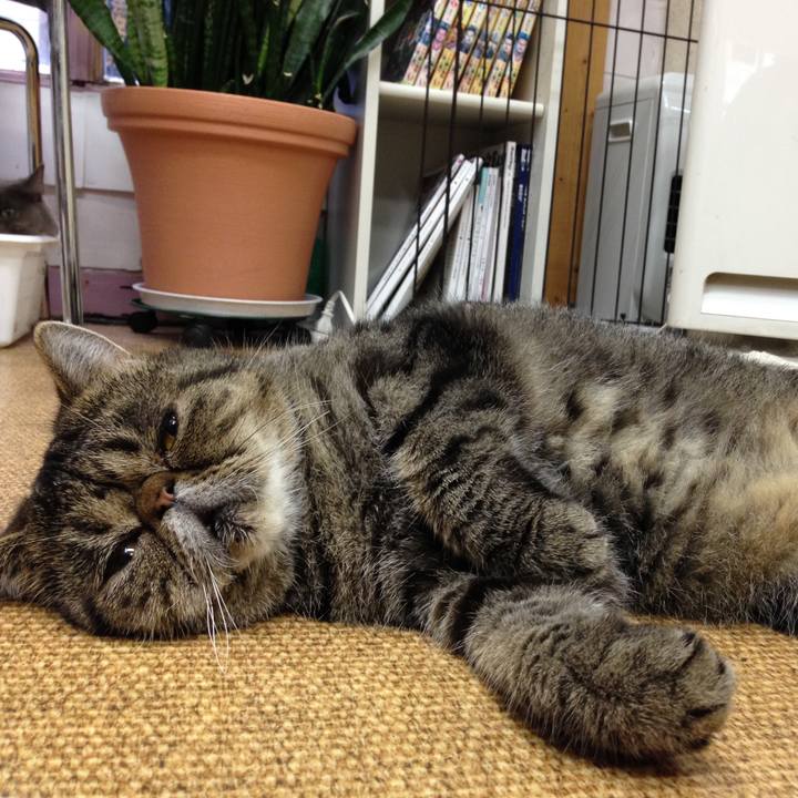 0d9519ba 6586 402a a74d c153b9f7b1a0