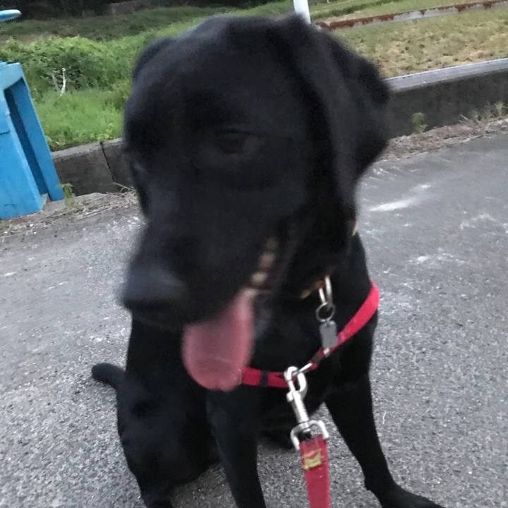 0d952626 e83f 4829 9966 9db9d87eea99