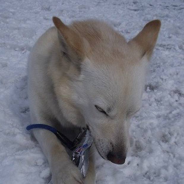 0d9552d7 ac6a 47a5 bebc 559d1a1c5294