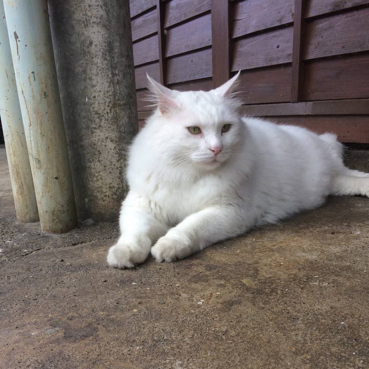 0d962d02 c149 4c01 8958 6ab53ecb3186