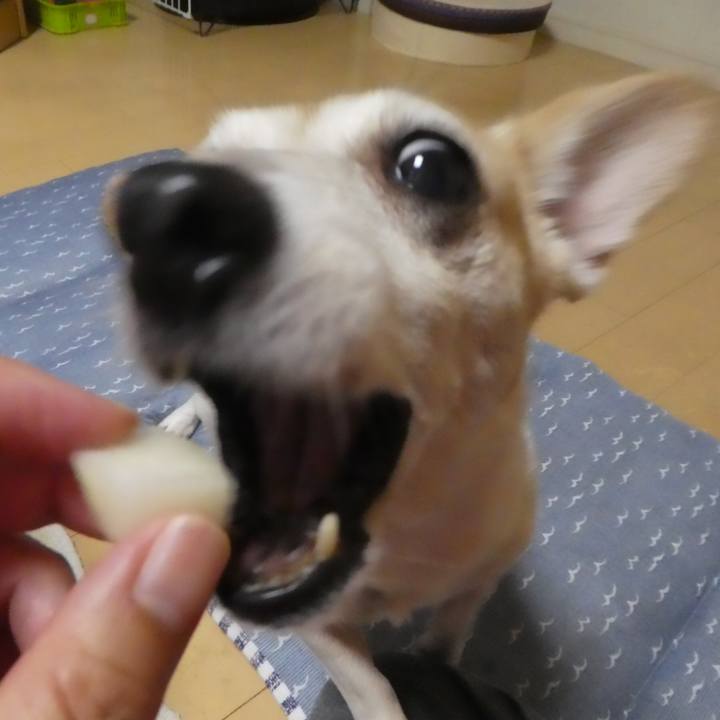 0d9728f9 3f0c 4c1d bed8 e25fa8fc187e