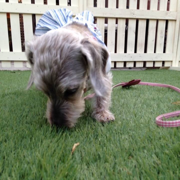 0d9736f4 6c1a 4110 af55 41274c7f7ea8