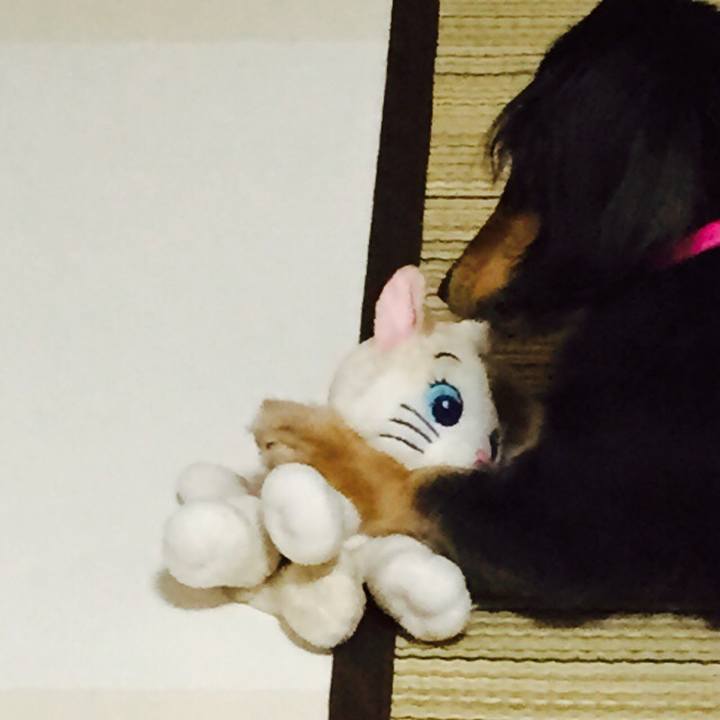 0d97a6ae e94e 4636 9dda 292afa986c76