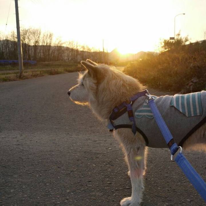 0d980991 828a 4d96 bcb7 fb7a6fa7fb58