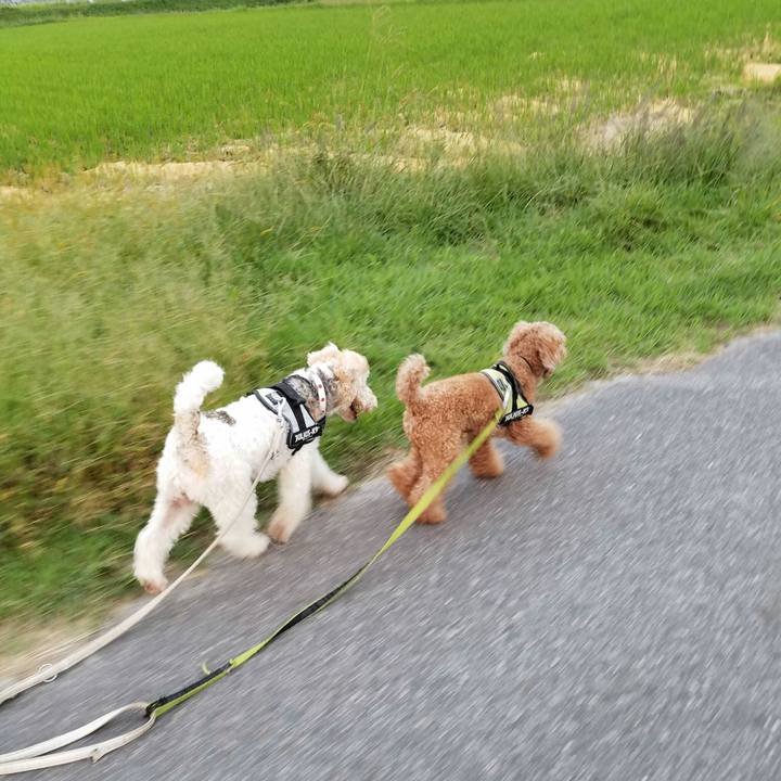 0d9824e5 f6ad 4e03 83b6 57a612c5853d