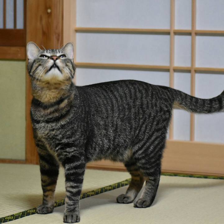 0d983020 78cf 4acb a48f 760b139352af