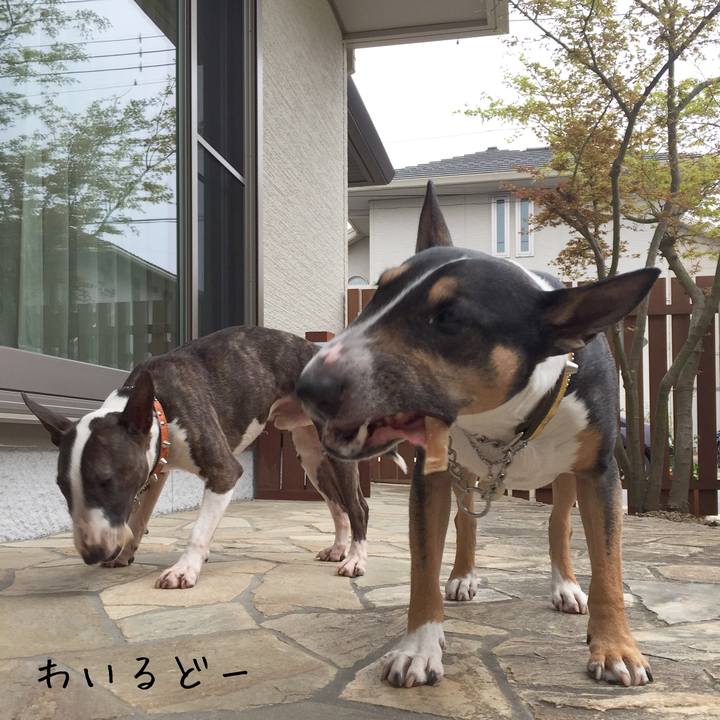 0d985961 bb5b 4028 a905 1b9e22e52306