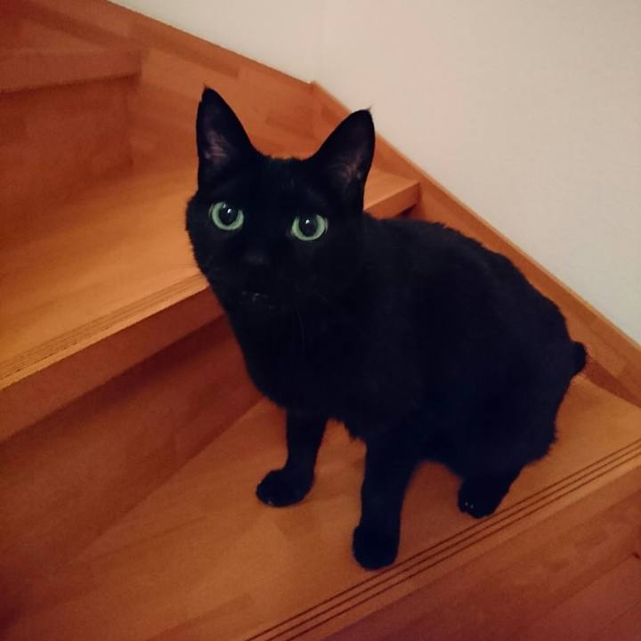 0d9863e0 8dfa 4456 b69b a4a33a5a3648