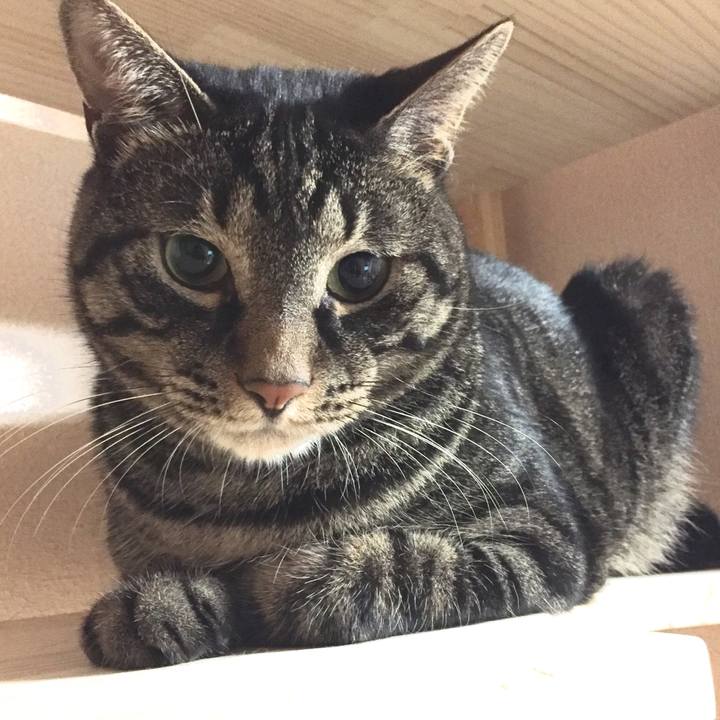 0d987cf0 d3e3 484c ba8e 7d07bbef178c