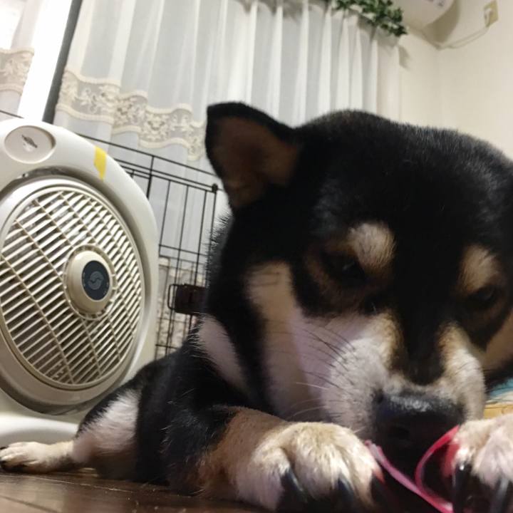 0d98a3e6 ac1d 40ca ba74 36e71d41b516