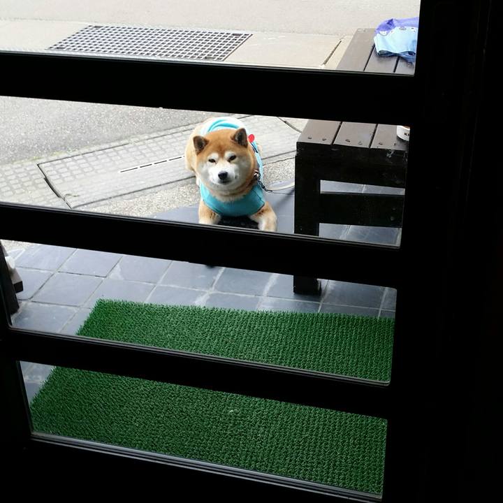 0d99a8f6 7545 469c a476 62b8e7894c69