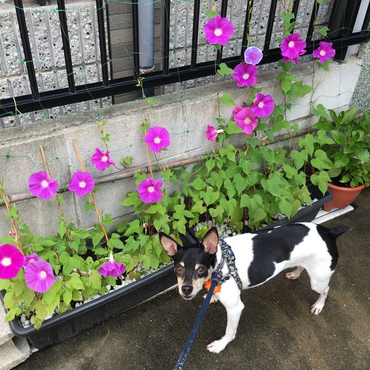 0d99ac9e a4fd 46ff a116 4678edd0c75b