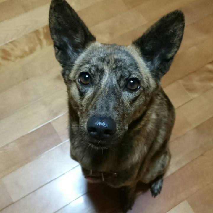 0d99b8e3 a55c 49f7 a5aa 6b75b86f7ab5